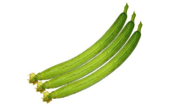 丝瓜